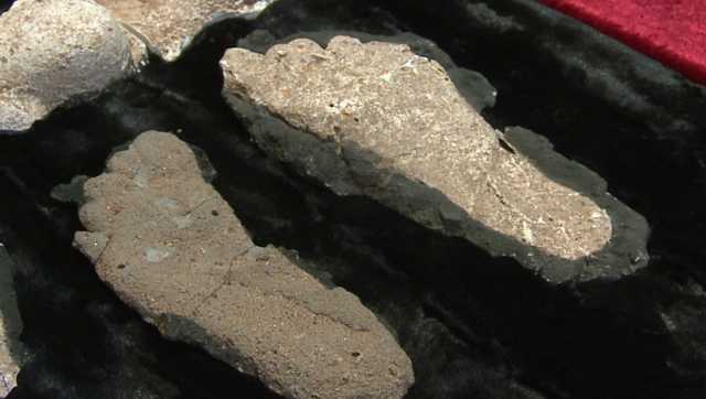 'Bigfoot Bash' celebrates the elusive enigma, for real