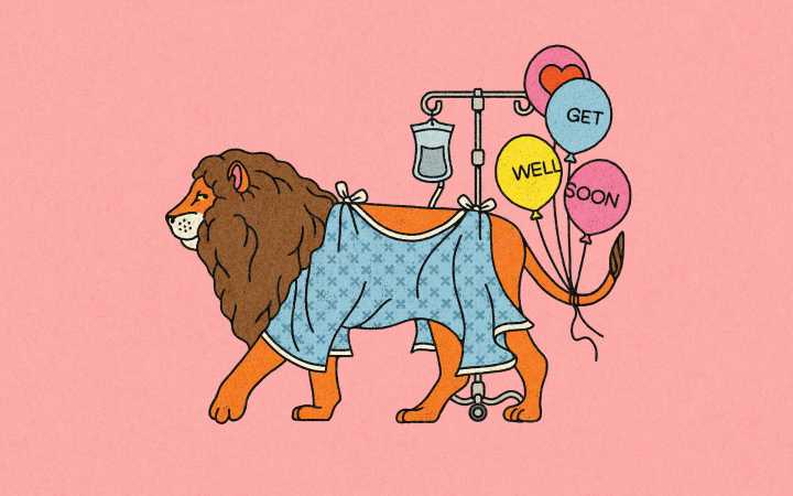 Meanwhile, in Texas: A Cat Gets Scanned in El Paso