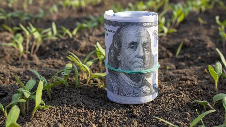 Clave para el dólar: las liquidaciones se desplomaron en octubre tras las retenciones cero