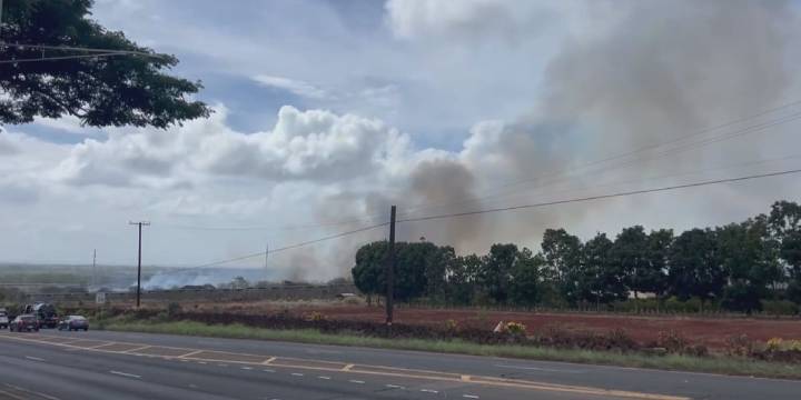 Firefighters battle brush fire near freeway