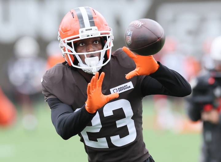 Reunion? Former Pittsburgh Steelers safety cut by Cleveland Browns.