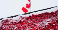 National Remembrance Day ceremony to mark 80 years since WWII