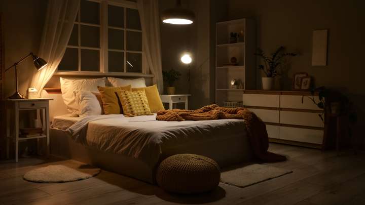 The Fast-Growing Houseplant That Thrives Even In Low Light Conditions