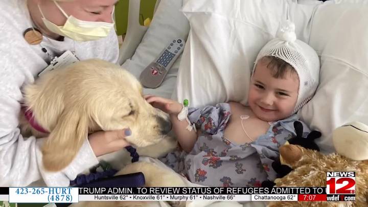 Family Advocates for Pediatric Cancer Reform