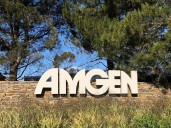 Amgen profit beats estimates, weight-loss data due by year