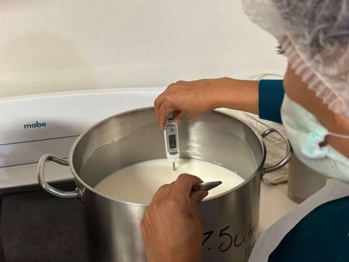 Impulsan capacitación en la elaboración de productos lácteos