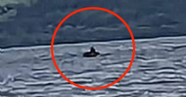 Loch Ness monster has 'black head' as US tourist makes Nessie sighting claim