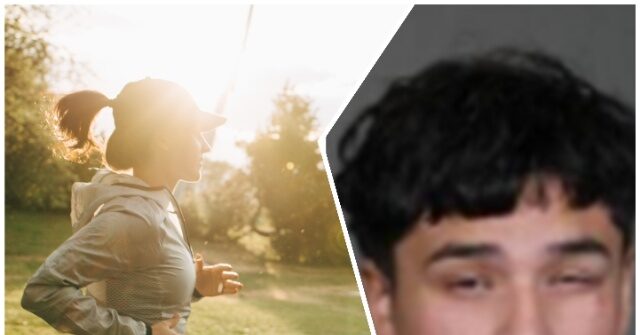 Biden-Released Illegal Alien Charged in Brutal Hammer Attack on Texas Woman in Park