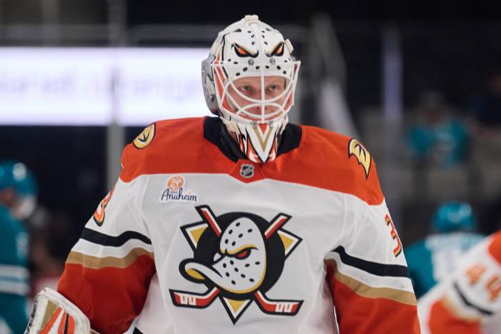 Ducks Recall Ville Husso