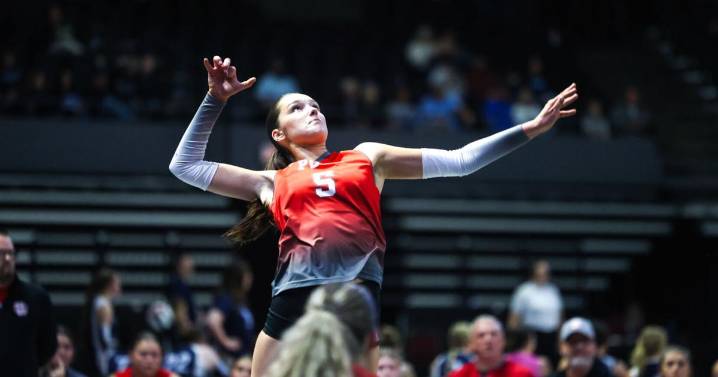 Prep volleyball Class AA quarterfinals: James Monroe does in Dots in five sets