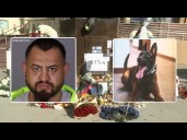 Man accused of killing police K-9 was documented gang member, police say