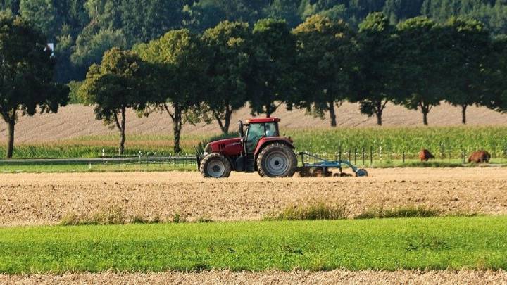 Mennonite Family Takes the Tractor to School