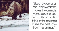 55 People Who Have Worked in A Zoo Share Things That Non