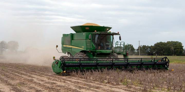 There's 'no evidence' China is buying all the U.S. soybeans it promised under Trump's trade deal