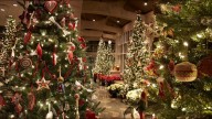 HOLIDAYS AT THE GARDENS | Meijer Gardens unveils holiday traditions