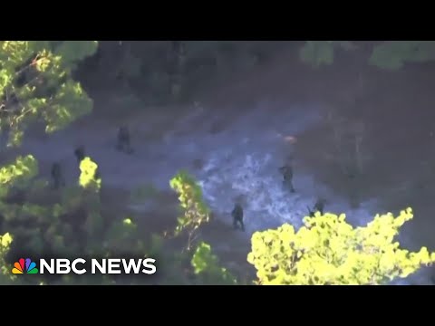 Florida man arrested after 36-hour foot chase through swamp