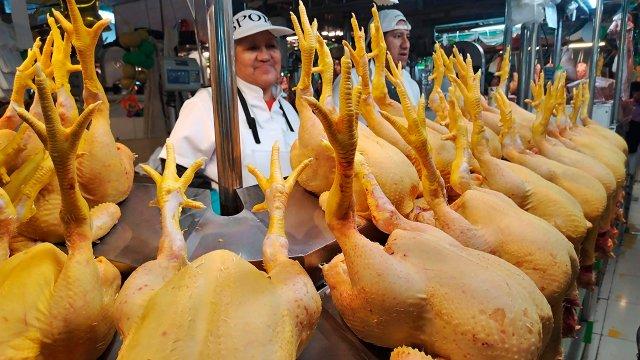 Precio del pollo se estanca y las ventas no mejoran en plataforma Avelino Cáceres
