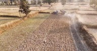 Eco India: Can spreading rock dust on farmlands help fight climate change?