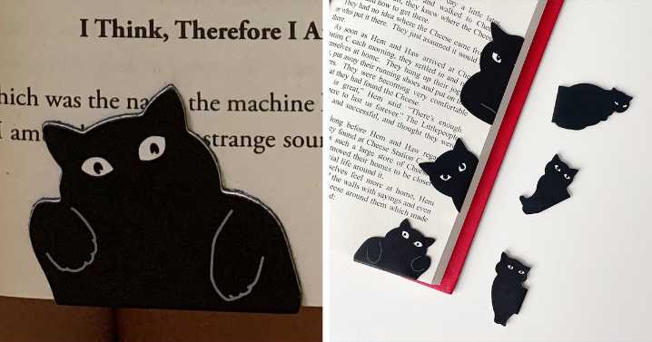 22 Things Under $10 That Have Absolutely No Business Being This Good