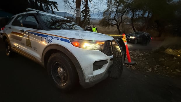 Shots ring out at B.C. ostrich farm as CFIA moves ahead on cull order