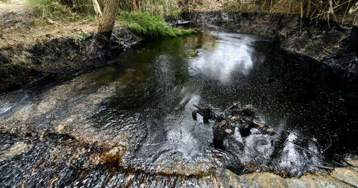 Derrame de Pemex en Veracruz deja un río sin vida y comunidades sin agua