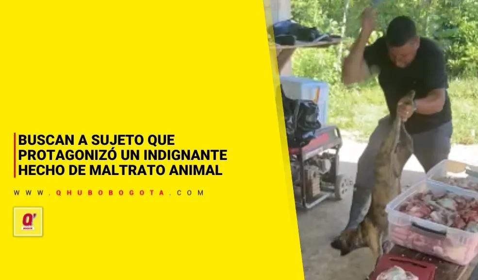 Buscan a sujeto que protagonizó un indignante hecho de maltrato animal