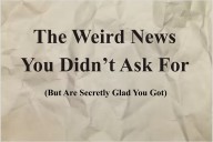 This Week in Wild and Bizarre U.S. News