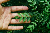 ¿Cómo impulsa Jalisco la economía circular en México?