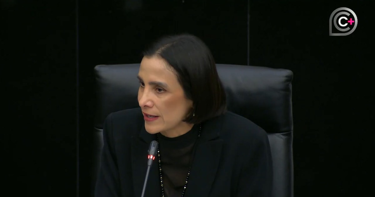 Pemex redujo pérdidas 90% tras ajuste fiscal, asegura Luz Elena González ante senadores