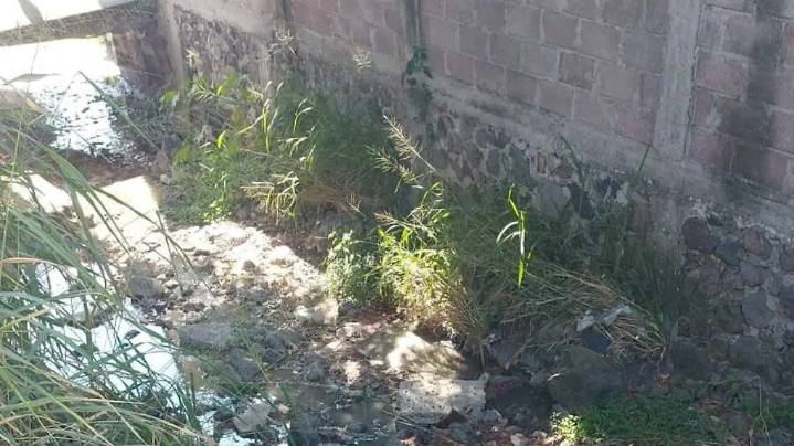 Yautepec: Exigen solución urgente a contaminación por aguas negras en Santa Rosa