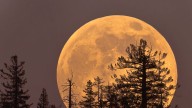 Here’s How the November Supermoon Will Affect Every Zodiac Sign
