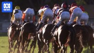 Queensland racing industry review delayed as government withholds landmark report