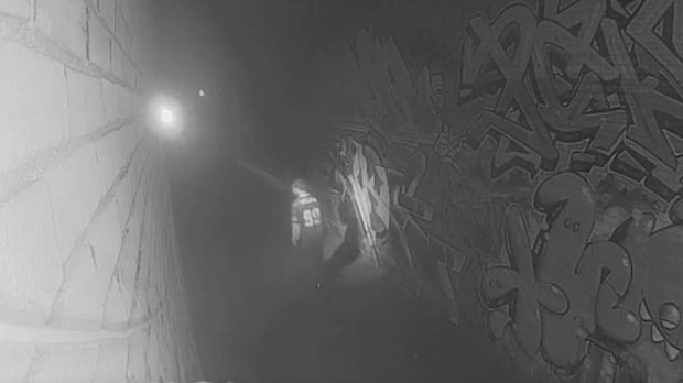 Hamilton man charged with mischief after hate-motivated graffiti found on downtown business: police