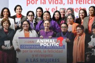 Plan integral contra el abuso sexual: delito se sancionará con multas y hasta 7 años de cárcel