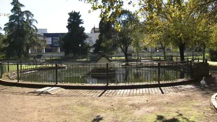 Zafra confina los patos del Parque de la Paz para prevenir la gripe aviar More