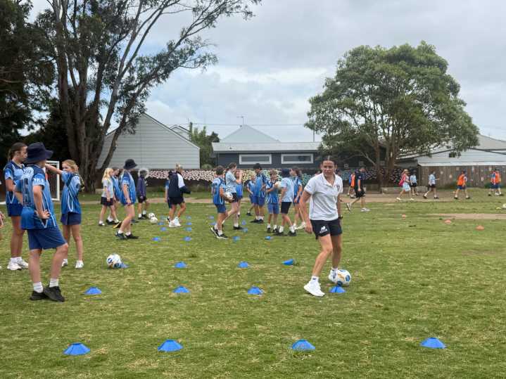 Davis back in class and Jets' ALW line