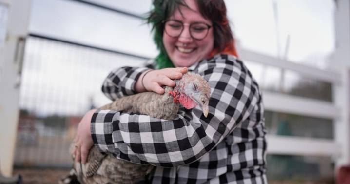 At The Gentle Barn, turkeys are for snuggling, not stuffing at Thanksgiving