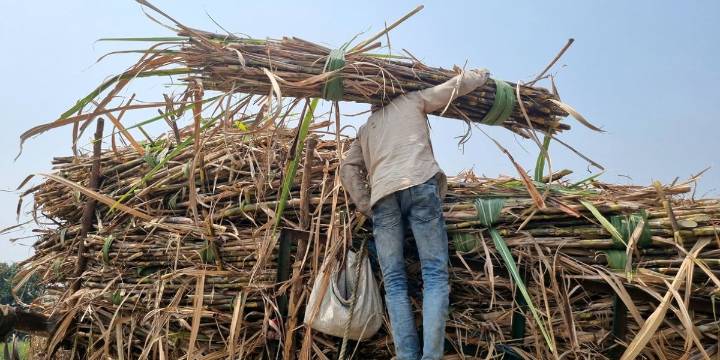 Sugarcane farmers’ protests intensify across North Karnataka; Siddaramaiah seeks PM Modi’s intervention