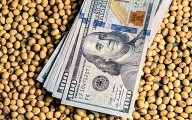 Soja: en octubre se liquidaron apenas 1100 millones de dólares, pero el negocio ya lo hicieron