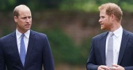 Prince Harry offers fresh 'olive branch' to Prince William as pair go head