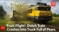 ‘When life gives you pears…’: Viral video of Dutch freight train crash with pear truck takes over X, Reddit and TikTok