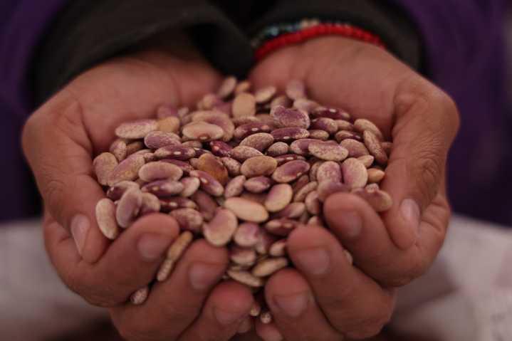 Brugada refrenda compromiso con precios justos en la comercialización del frijol