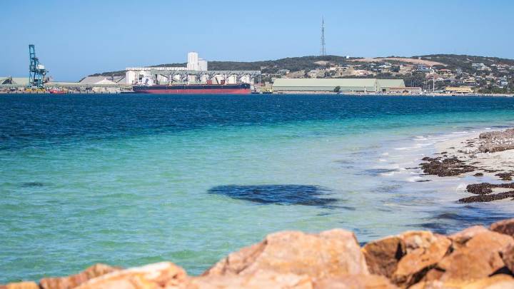 BLOOMING TRADE
Premium
Milestone canola shipment about to set sail from Esperance