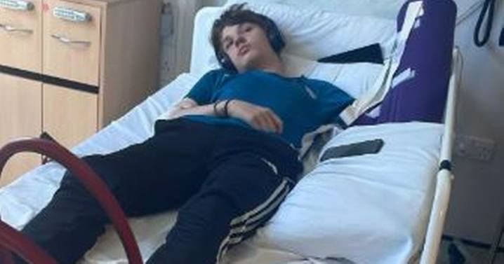 Boy, 16, faced with losing his finger after being mauled by dangerous dog