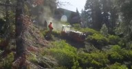 How cutting-edge robots can help prevent wildfires