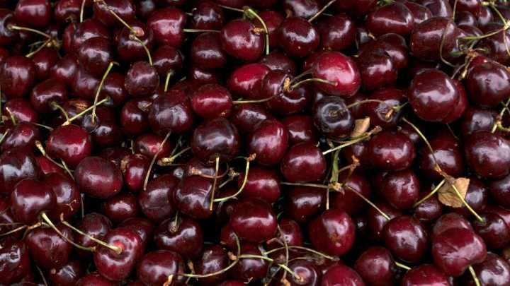 Brasil detectó plaga en más de 1 tonelada de cerezas chilenas: SAG dice que exportaciones siguen con normalidad