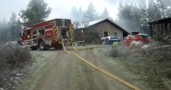 Puppies rescued from RV fire in Stevens County