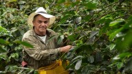 Estados Unidos restablece arancel cero para el café colombiano: FNC