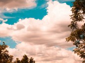 Clima hoy en San Antonio, Estados Unidos: el pronóstico del tiempo para este miércoles 19 noviembre de 2025