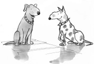 Editorial: Joy That Wags